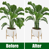 FEED GARDEN 8 Pack Peony Cages and Supports, Plant Support Stakes for Outdoor & Indoor Plants, 10" W x 16" H Half Round Garden Plant Support Rings for Peonies, Hydrangeas, Roses, Dahlias