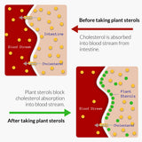 UpNourish Plant Sterols Citrus Bergamot Supplement with CoQ10, Omega 3, Olive Leaf, Turmeric Curcumin, Black Garlic and Niacin - 120 Softgels