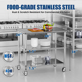 Chingoo Stainless Steel Work Table with Wheels, 24x48 Inch NSF Kitchen Prep Table with 2 Adjustable Undershelves for Commercial Restaurant, Garage, Outdoor BBQ