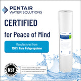 Pentair Pentek DGD-2501-20 Big Blue Water Filter, 20-Inch Whole House Sediment Filter Cartridge Replacement, Dual-Gradient Density Spun Polypropylene, 20" x 4.5", 1 Micron, Pack of 2, White