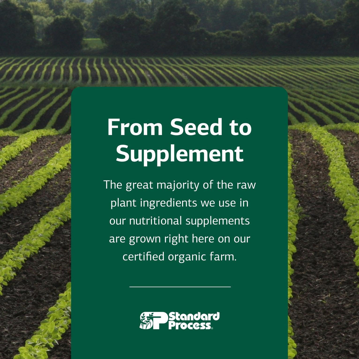 Standard Process Inc. Congaplex, Thymus Gland Support Supplement, Support Immune Health with Calcium Lactate, Magnesium, Vitamin C & Vitamin A, Immune System Aid with Mushroom Powder - 90 Capsules