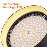 Bstrip 50W Double-Head One Cord Grow Lights for Indoor Plants full Spectrum 3000K, Black LED Grow Light Bulb with Timer & 16.4FT Power Cord, Perfect for Tall Plants, Flowers, and Greenhouses in Winter