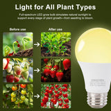 DingChen Grow Light Bulbs, A19 Full Spectrum Light Bulb, 9W Plant Grow Lights Bulbs (100W Equivalent), E26 Base, for Indoor Plants, Herbs, Flowers, Vegetables, 6 Pack