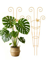 2 Pcs Tall Trellis for Potted Plants, 30'' Expandable Butterfly Shape Garden Trellis for Climbing Plants Indoor, Plant Pothos Climber Support for Monstera, Ivy, Hoya, Vine (Yellow)
