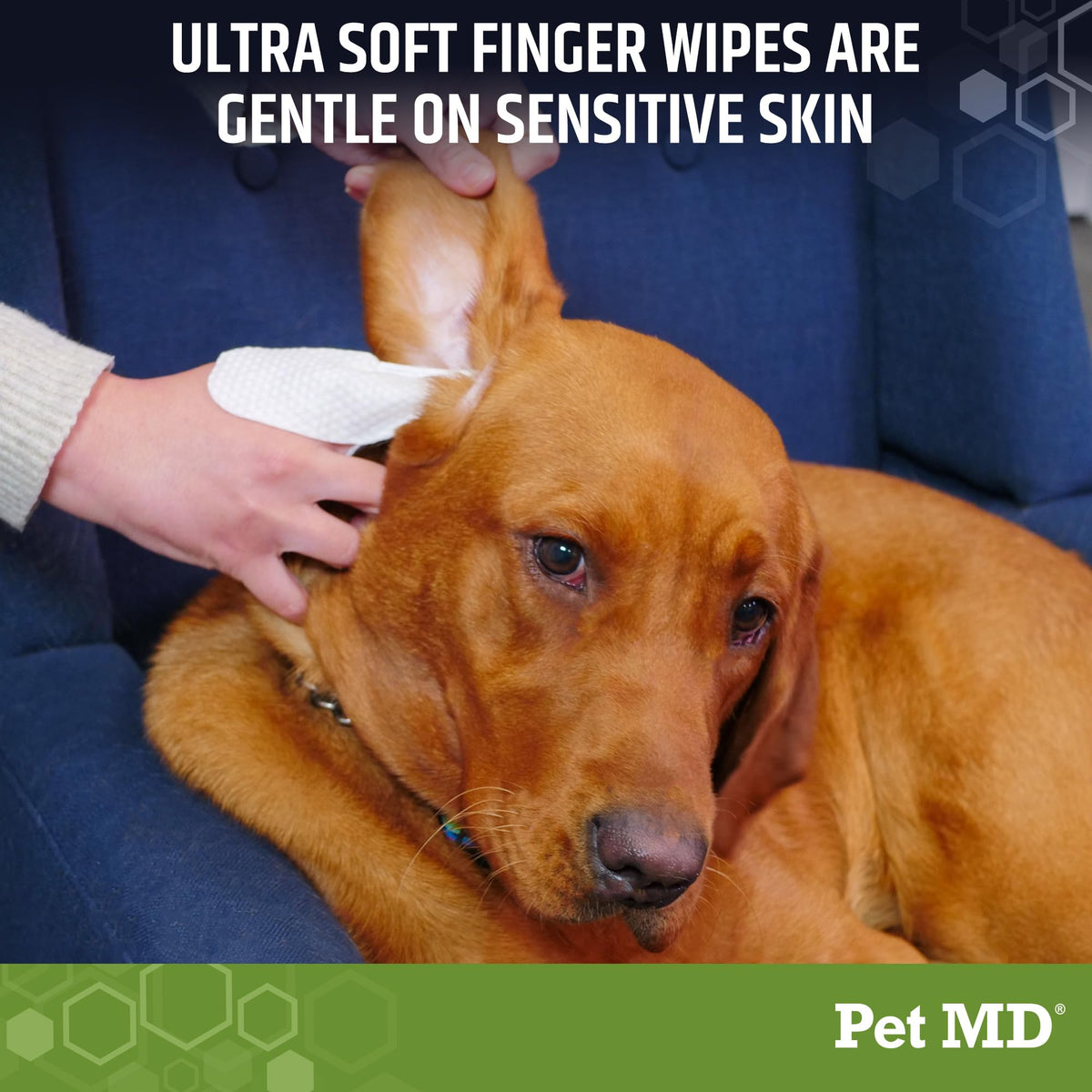 Pet MD Dog Ear Finger Wipes - with Eucalyptus & Aloe Vera for Dogs - 50 ct