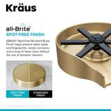 KRAUS CleanMate Glass Rinser for Kitchen Sink in Spot-Free Brushed Brass Color Finish, KGR-500SFBB