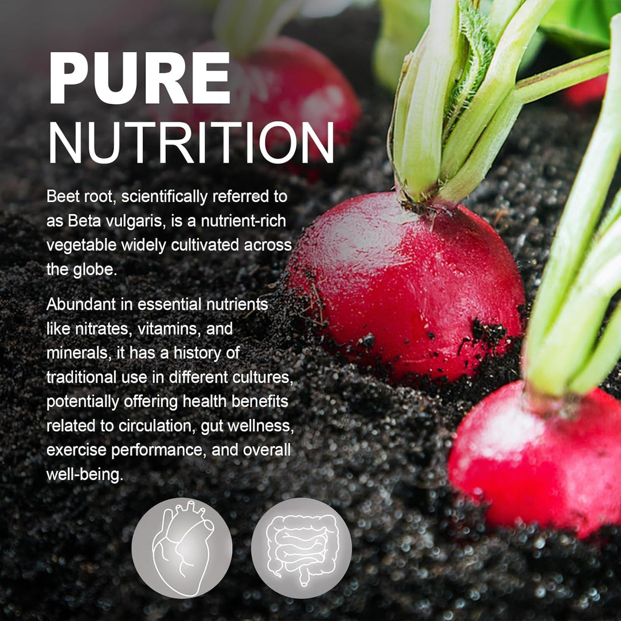 QIANWE Beetroot Capsule Supplement | Beetroot Powder Supplement | Support for Exercise Performance - Vegan, Non-GMO, Gluten-Free - 60 Capsules (1pcs)
