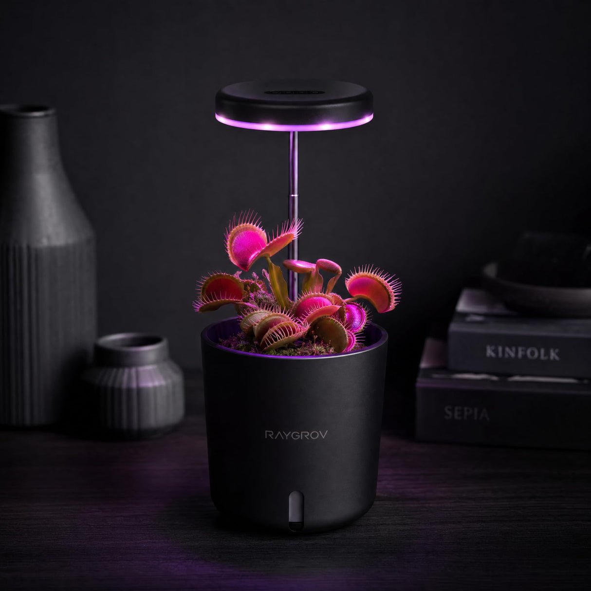 Raygrov Self-Watering Planter with Grow Light, Smart Indoor Pot for Venus Fly Trap, Carnivorous Plants, African Violet, Cat Grass, Catnip & Herbs, 2-in-1 Wall + Desktop, USB 5W Full Spectrum LED