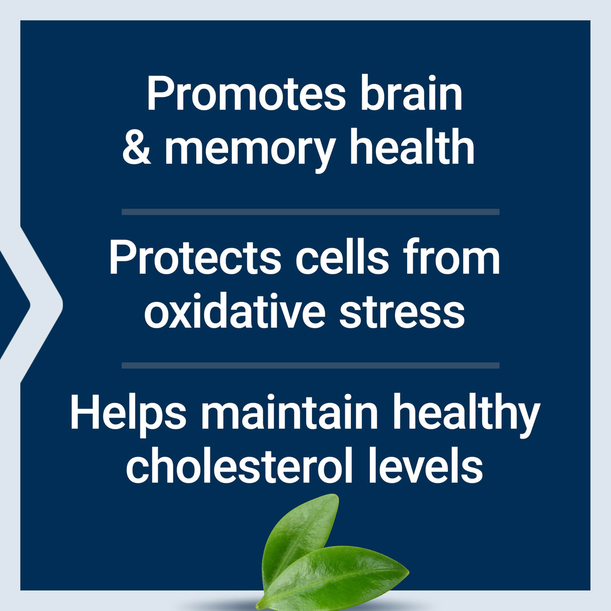 Life Extension Blueberry Extract Capsules - Whole Fruit Wild Blueberry Extract Supplement Pills- For Brain Health Support - Non-GMO, Gluten-Free ,Vegetarian - 60 Capsules