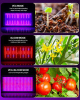 KOSCHEAL KS2000 230W LED Grow Light, 2.8 µmol/J Full Spectrum