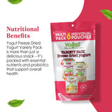 YoGut Freeze Dried Yogurt Snack, Variety Pack, 6 Pack, Healthy Snacks for Kids, Toddlers & Adults, Gluten Free, Non GMO, With 5 Billion Live Probiotics, Vitamins & Minerals, Individual Snack Packs