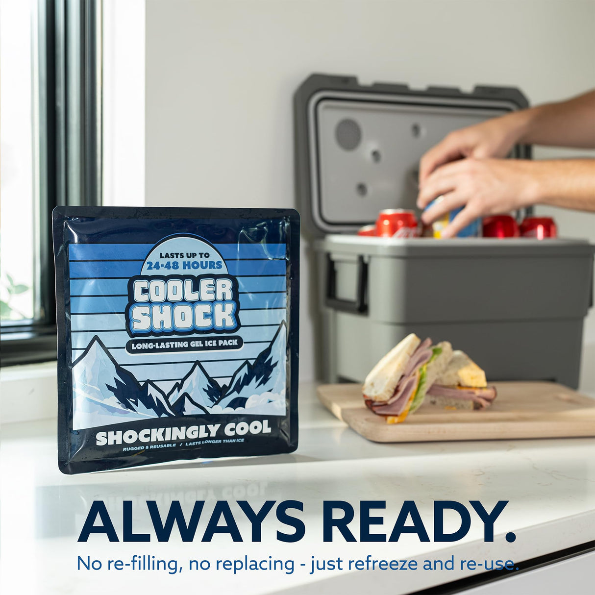Cooler Shock Reusable Prefilled Ice Packs for Coolers & Lunch Boxes - 48 Hours Long Lasting Cold Freezer Packs for Lunchbox, Non-Toxic Gel Ice Pack for Camping, Lunch Bags, Road Trips, 2 Pack(10"x10")