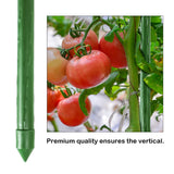 FEED GARDEN Garden Stakes 72 Inch 6ft 25 Pack, Sturdy Plant Metal Sticks Support, Plastic Coated Plant Stakes,Tomato Stakes, Beans,Trees