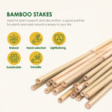 Cambaverd Bamboo Stakes 3ft, 50 Pack Bamboo Garden Stakes 3 Feet, Natural Plant Stakes for Tomatoes and Climbing Plant Support, Bamboo Sticks for Plants