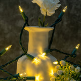 YULETIME 200 Count Warm White LED Christmas Lights, 66 Feet Green Wire UL Certified Commercial Grade Holiday String Light Set (Warm White)