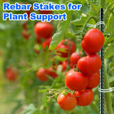 Fabulas Rebar Stakes, 16 inch 16 Pack Ground Stakes Heavy Duty with Chisel Point End, 3/8" Diameter Straight Steel Metal Anchor for Garden Driveway Markers Concrete Form Landscape Camping Plant Black