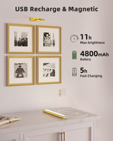 EZVALO Picture Light for Wall, 4800mAh Rechargeable Wireless Remote, 16in Dimmable Magnetic LED Art Display Light with 3 Color Temperatures, for Gallery, Living Room, Bedroom, Hallway (Gold)