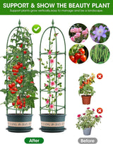Garden Obelisk Trellis for Climbing Plants, 6FT Garden Obelisk Rustproof PE Coated Metal Potted Plant Climbing Support, Thickened Tube Plant Tower Trellis for Clematis Vine Support Indoor (2 Pack)