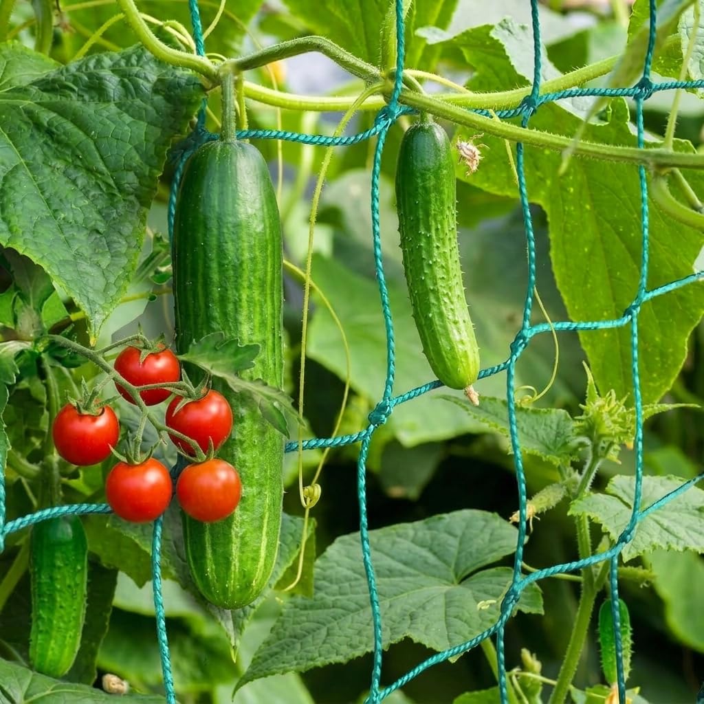 HOECMRHP Trellis Netting, Heavy-Duty Garden Grow Netting for Climbing Plants, Outdoor Indoor Net for Cucumber, Tomatoes, Beans, Clematis, Fruits & Vegetables, Climbing Vining Plants (24.6' x 6.6'Ft)