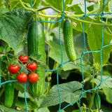 HOECMRHP Trellis Netting, Heavy-Duty Garden Grow Netting for Climbing Plants, Outdoor Indoor Net for Cucumber, Tomatoes, Beans, Clematis, Fruits & Vegetables, Climbing Vining Plants (24.6' x 6.6'Ft)