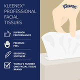 Kleenex Professional Facial Tissue, Bulk (21606), 2-Ply, White, Flat Boxed Format, Designed for Business (125 Tissues/Box, 48 Boxes, 6,000 Sheets/Case)