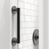 AquaChase ADA Compliant Grab Bar, 500lbs Weight Support for Bath Safety (12 inch, Matte Black)