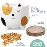 The Cat Ladies Cat Grass for Indoor Cats, Cat Grass Growing Kit with Organic Cat Grass Seed Mix, Soil and Ceramic Cat Planter, Pet Grass for Cats, Natural Hairball Remedy, Cat Gifts