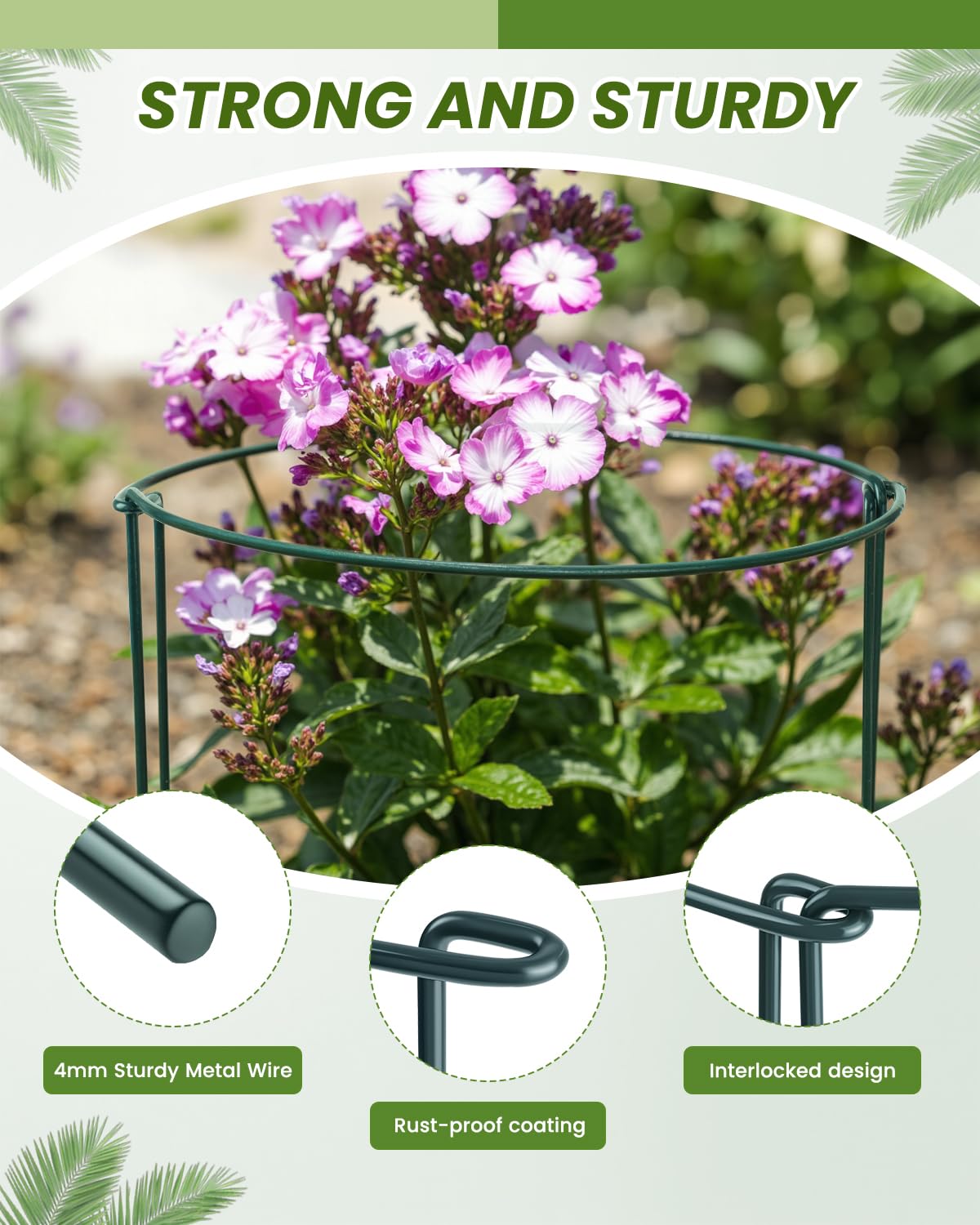 10-Pack Heavy-Duty Plant Support Stakes, Garden Sage 10" W x 16" H Half-Round Rust-Resistant Metal Garden Border & Climbing Plant Cage, Sturdy Ring Stake for Indoor/Outdoor Flowers, Vines, Vegetables