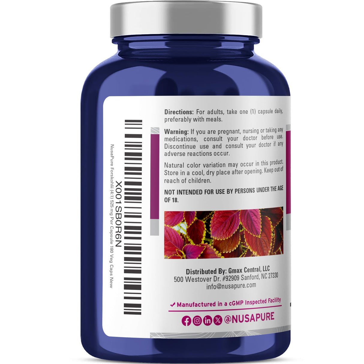 NusaPure Forskohlii 4:1 Extract, 525 mg Equivalent to 21,00 mgper Veggie Caps - 180 Capsules (Non-GMO, Gluten Free)