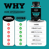 Spermidine Supplement (1440mg of 99% Pure Spermidine Supplements For Women & Men) 4 Months Supply (100X More Potent Than Wheat Germ Extract) 12MGS Per Serving For Cellular Health, Anti-Aging & Energy