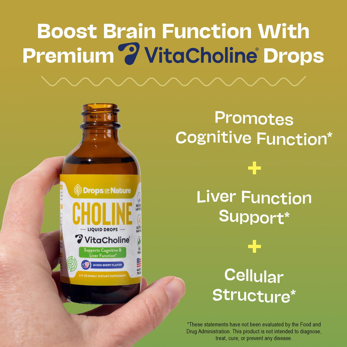 Choline Liquid Drops Supplement – Vegan, Gluten-Free, GMO-Free, Easy Absorption Formula – With Essential Nutrients for Brain Health and Vitality – Complements Inositol Supplements (Mixed Berry, 60 mL)