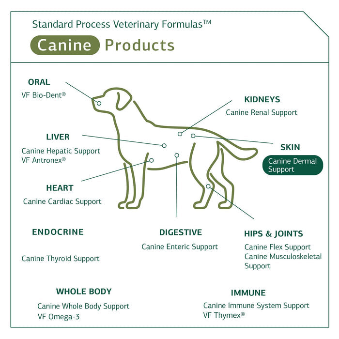 Standard Process - Canine Dermal Support - Healthy Skin for Dogs - 30 Grams