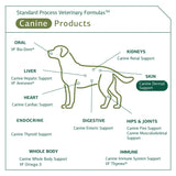 Standard Process - Canine Dermal Support - Healthy Skin for Dogs - 30 Grams