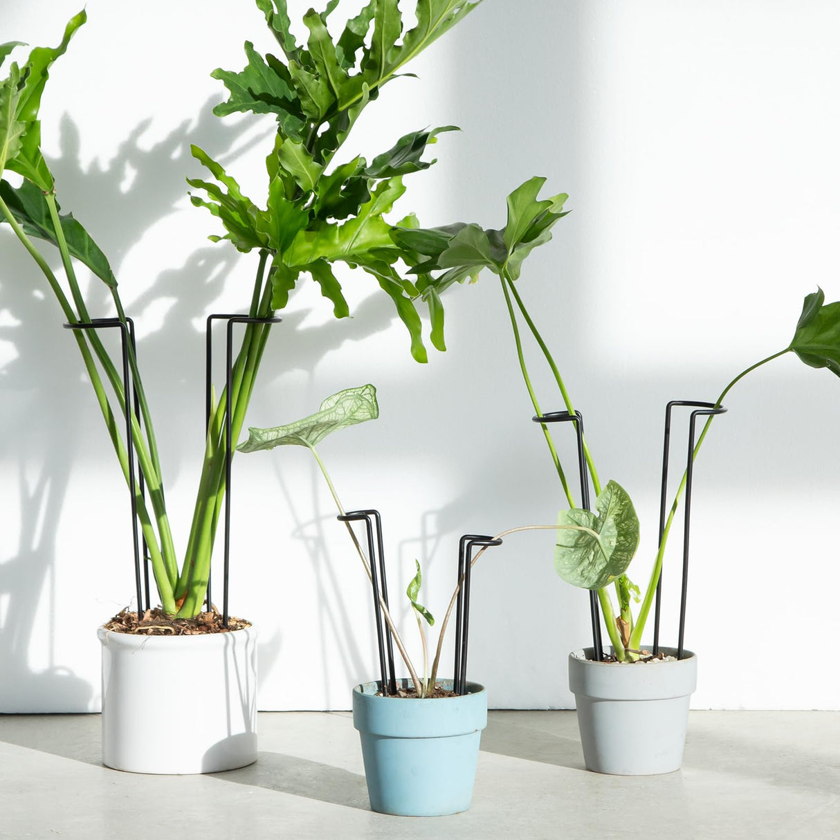 10 Pcs 8.7"Indoor Plant Support for Monstera Trellis Stakes and Stem Holder