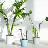 10 Pcs 8.7"Indoor Plant Support for Monstera Trellis Stakes and Stem Holder