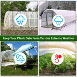 LSGCQ 6 mil Greenhouse Plastic Film Sheeting Cover 8 x 26 Ft UV Resistant Clear Polyethylene Film Green House Hoop Farm Plastic Cover for Gardening, Farming, Agriculture