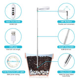 Halo Ring Grow Lights for Small Indoor Plants, Warm+White 96LEDs Full Spectrum Plant Light, Height Adjustable with Adapter, 3/9/12H Timer, 3 Spectral Modes, 10 Dimmable Levels, Angel Ring 2 Pack