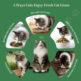 HiHOYA Cat Grass Kit for Indoor Cats - 5 Packets of Seeds, Cat Grass Planter Wooden Growing Kit, 5-Time Plant Starter Pack with 6 Soil Discs, Trimming Scissors, Spray Bottle, and Mini Tools