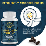 lipmaxmall Liposomal Taurine Supplement 1000mg, High Absorption Amino Acid for Heart, Nerve, Brain, Visual (60 Softgels - 2 Pack)