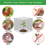 6 Pack Small Wire Plant Protectors, 24 Pieces Square Plant Protectors from Animals Mesh Plant Cage Chicken Wire Cover for Protect Plants, Garden,Shrubs and Vegetables from Animals(12x12 in)