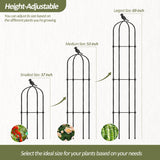 Trellume Garden Obelisk Trellis for Climbing Plants Outdoor - 69"(H), Rustproof Trellis with Adjustable Rings, Metal Plant Support for Potted Vines, Garden Trellis Use for Outdoor or Indoor(2 Pack)