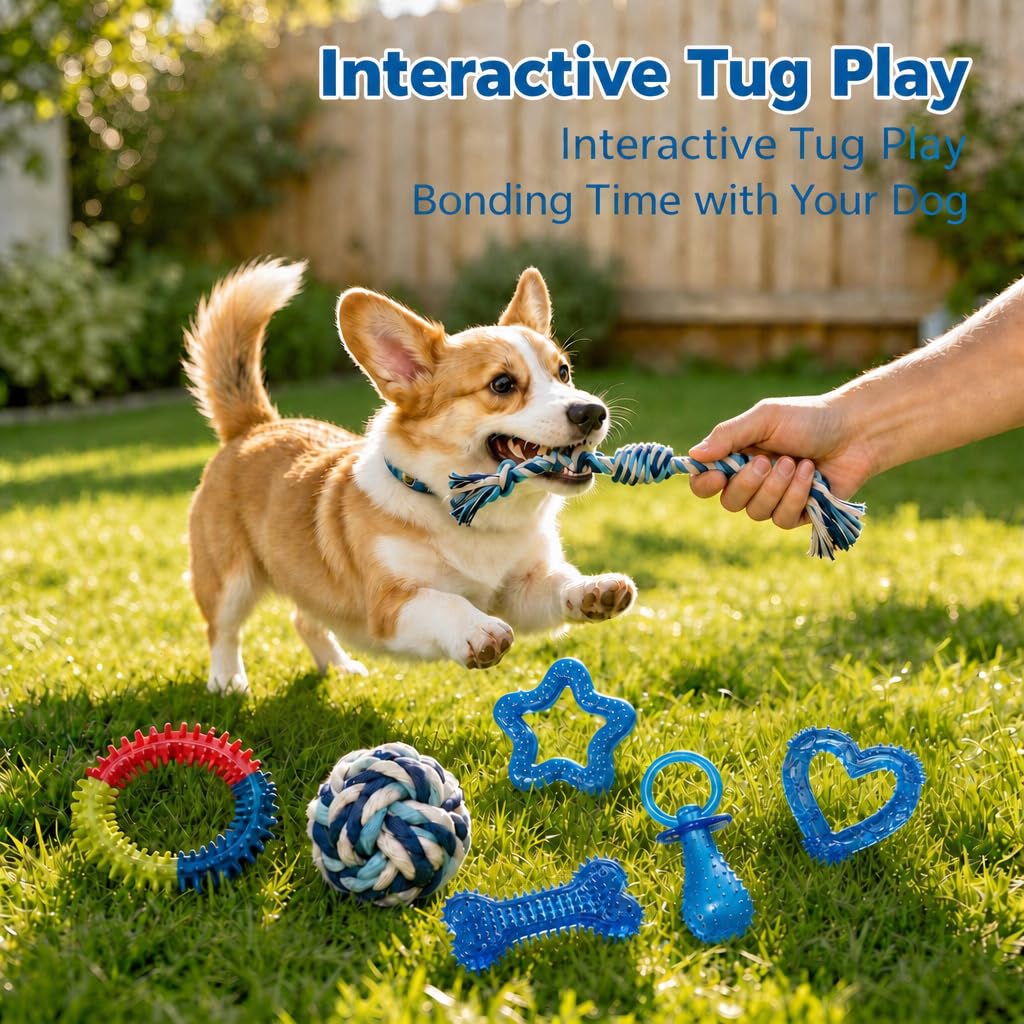 PawsAion 20 Pack Luxury Puppy Teething Chew Toys for Small Dogs and Puppies
