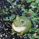 Evergreen Garden Cute Portly Frog 6" Tall Outdoor Statue and Secret Key Holder | Weatherproof and Outdoor Safe | Garden Sculpture | Porch Garage or Patio Home Decor
