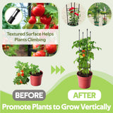 2 Pack Tomato Cages for Garden - Heavy Duty Tomato Trellis for Climbing Plants Outdoor & Indoor - 63 Inch Adjustable Tall Plant Cage & Support Garden Stakes for Pots Vegetables Flowers Fruits Vines