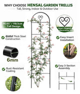 46.6" Metal Garden Trellis, 3-Section Plant Trellis for Climbing Plants Indoor & Outdoor, Plant Support for Large Pots, Grow Bags & Raised Beds, Roses, Tomato Plants & Vines, 1 Pack, Black