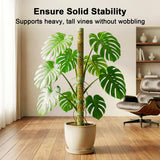 Moss Pole Monstera Plant Support: 40" Stackable Kit for Climbing Vines