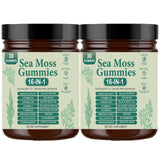 16 in 1 Sea Moss Gummies | Sea Moss Gummies for Women Men with Black Seed Oil, Burdock Root, Bladderwrack, Manuka Honey, and 10 More