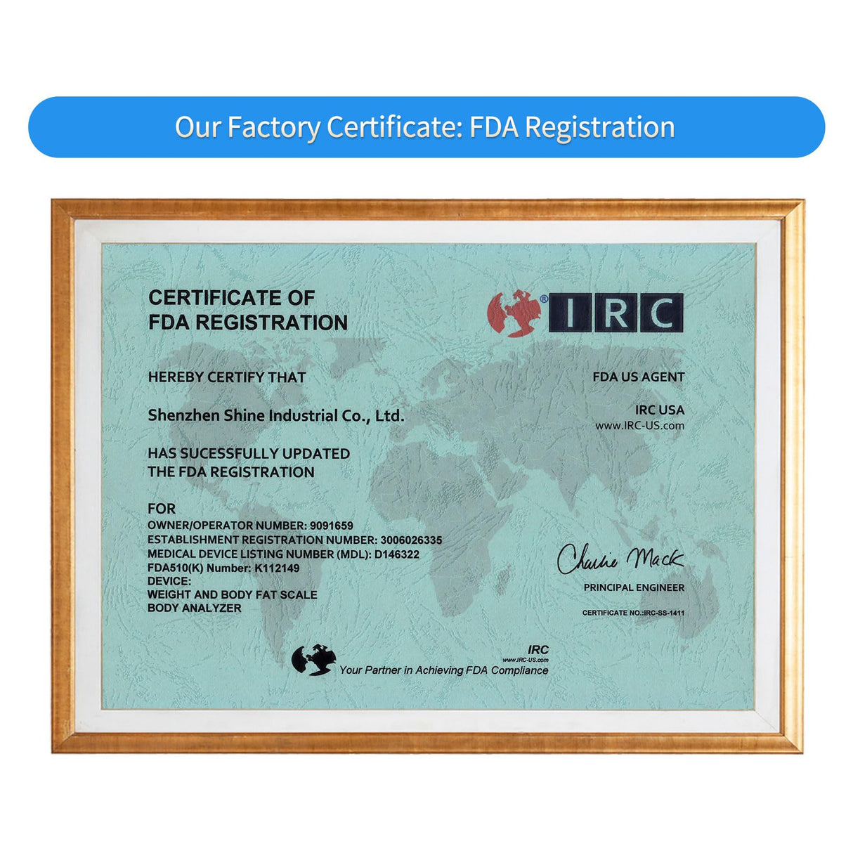 Homebuds 600lb Digital Bathroom Scale for Body Weight and BMI Via Smart APP, High Accuracy in 0.1lb Assured by Weighing Professional Since 2001, 8mm Tempered Glass, Extra Large LED Display, Black