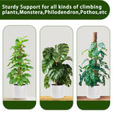 Moss Pole, 4 Pack 17Inch Monstera Plant Support for Climbing Plants Accessories Indoor -Stackable Moss Poles Plant Support Stakes -Coir Plant Pole Sticks for Potted Plants -Pothos, Tall Plant Trellis