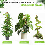 Moss Pole Monstera Plant Support 2 Pack 63 Inch Bendable Monstera Support